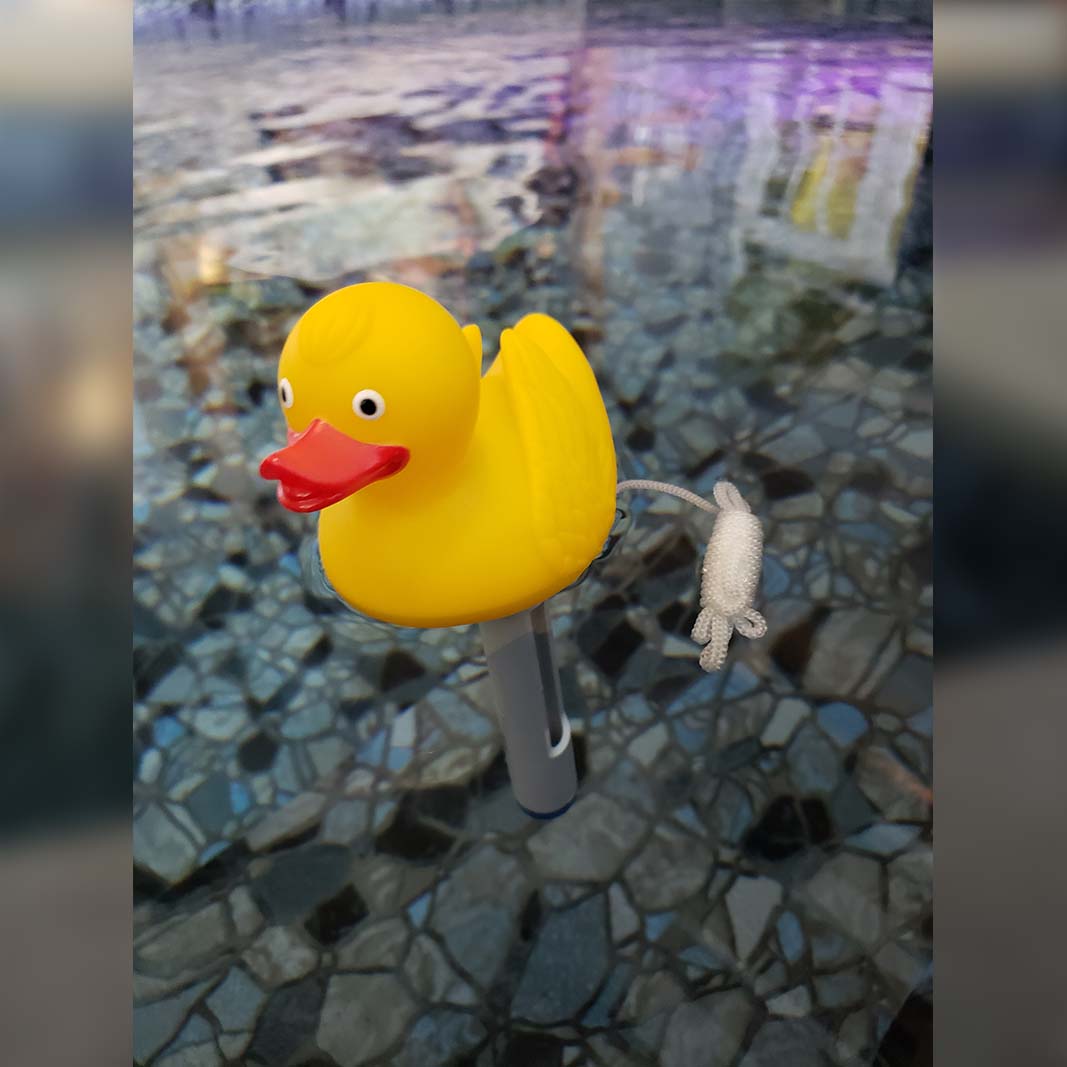 Duck Floating Thermometer