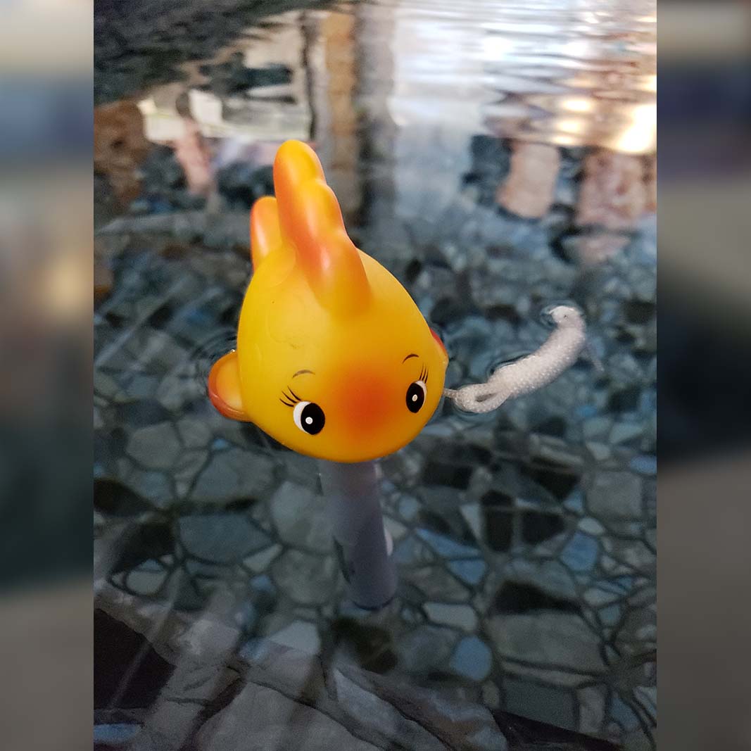 Yellow Fish Floating Thermometer 