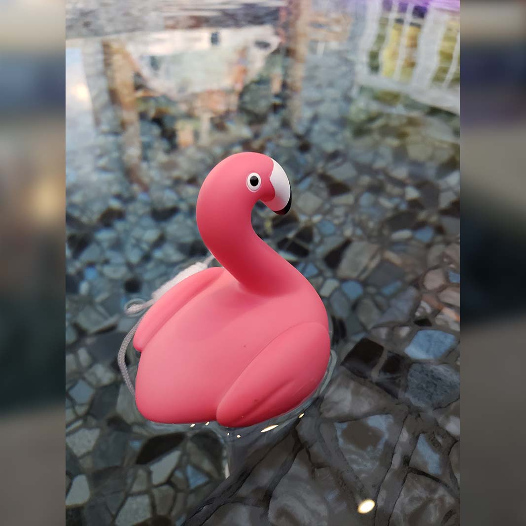 Floating Flamingo Thermometer