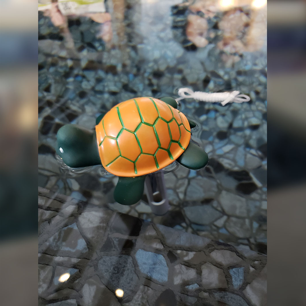 Turtle Thermometer