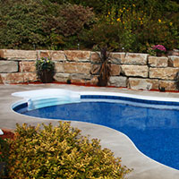 Swimming Pool Step Options